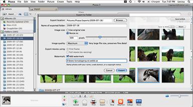 Picasa