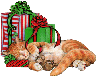 katt med julklappar