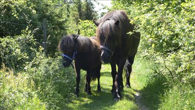 Pia-Lena-sommar09.jpg