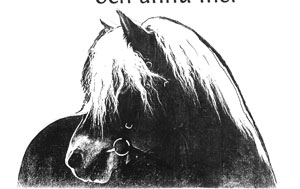 bild7.jpg