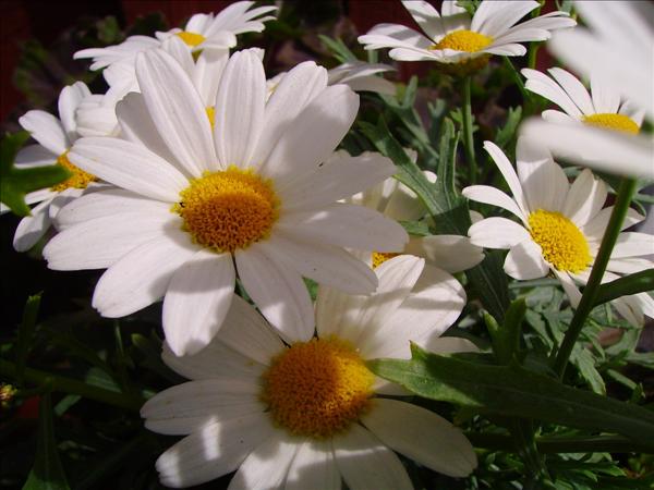 013junijpg
