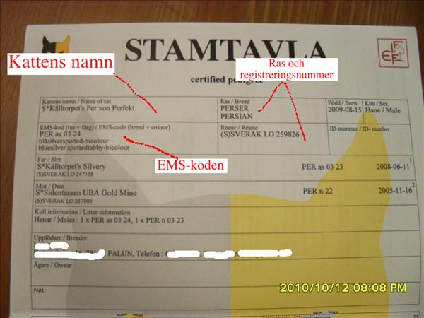 stamtavla m kattens info.jpg