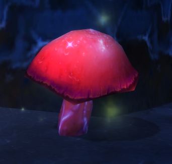rödsvamp.JPG