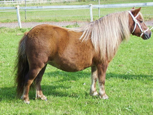 brandy_koping09.jpg
