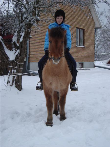 3Bild.JPG