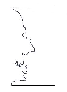 skönheten bedrar