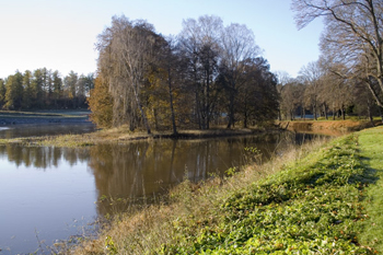 Höstlandskap