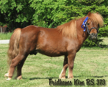 Fridhems Kim RS 373
