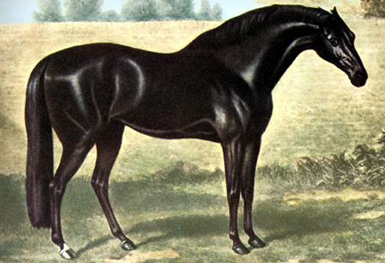 godolphinarabian.jpg