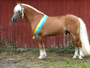 bild1.jpg
