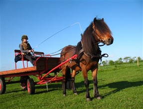 IMG_0022_JPGDanmark2007.jpg