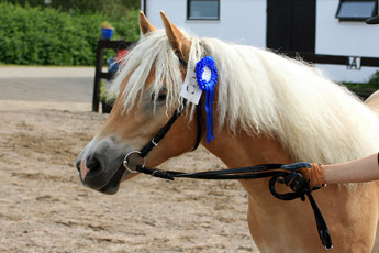 bild1.jpg