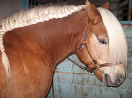 img3.jpg