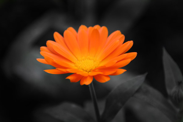 www.fotoakuten.se