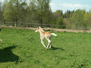 bild2.jpg