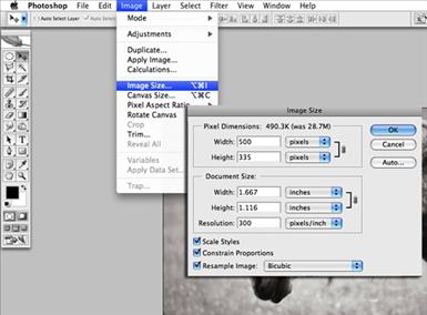 Photoshop