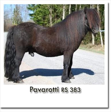 pavarotti.jpg