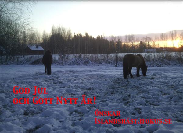 godjul.jpg