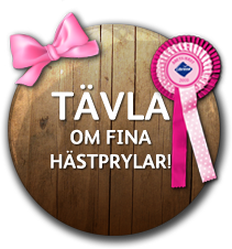 badge-tavla-om-fina-hastprylar.png