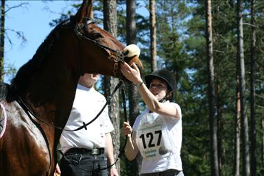20080510_16.jpg