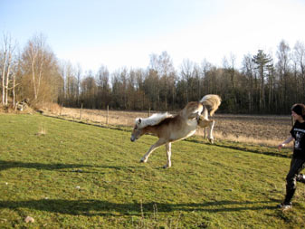 bild3.jpg