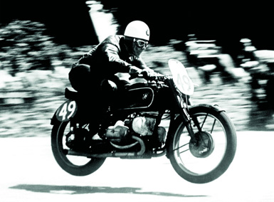 bild7.jpg