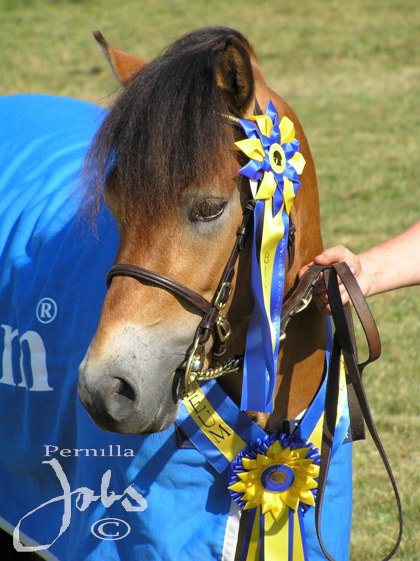 Emanuel 578, SkåneRuss 2005. Foto: Pernilla Jobs©