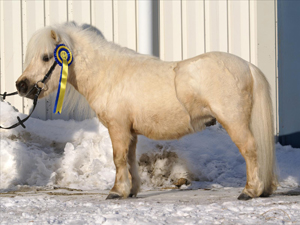 paninas_casanova_nordmaling09.jpg