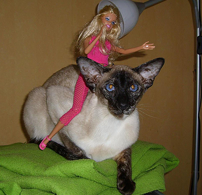 Tofflan-o-Barbie2.jpg
