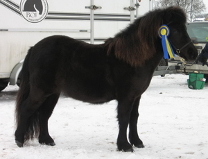 lillakras_dina_norraasum09.jpg