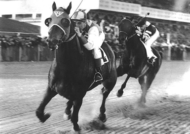 seabiscuit.jpg