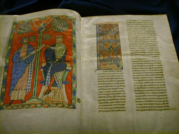 800px-Danimarca_XIII_secolo,_plinio_historia_naturalis.jpg