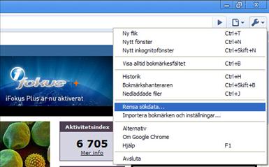 Rensa google kopiera.jpg