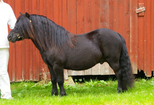 timothy_gm09.jpg