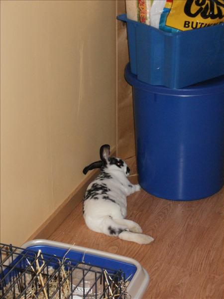 dec 079.jpg