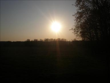 03.jpg
