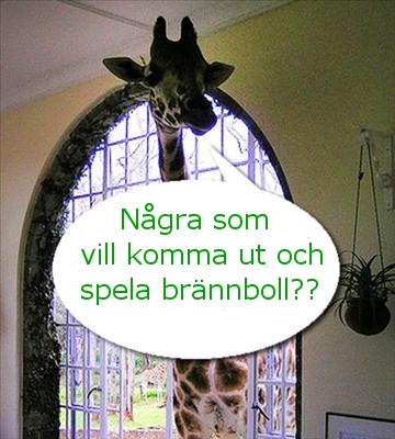 giraffbrannboll.jpg