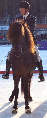 19299776.jpg