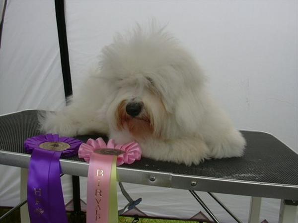 DSCN3521.JPG