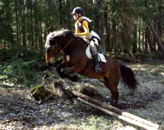 hopp