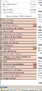 ifokus_forum.JPG