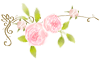 rosa ros.gif