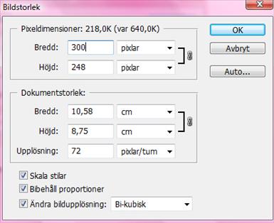 Så här ska rutan se ut i photoshop, det är den övrsta delen du ändrar i