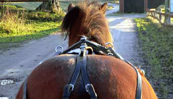doris07tur.gif