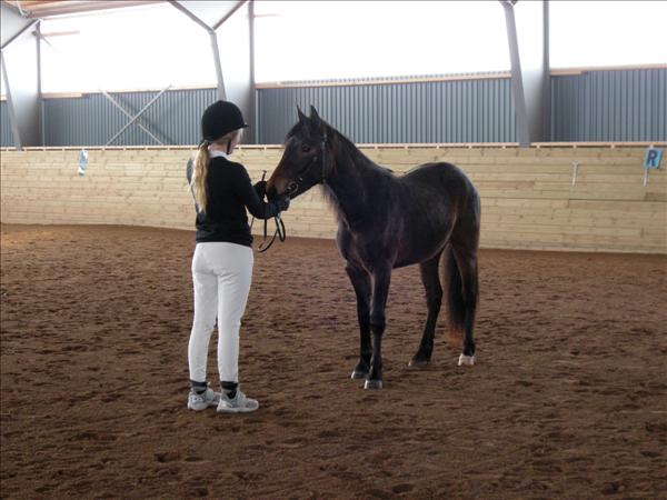 BIS, Vallas Sixpence Solero