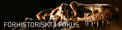Sidhuvud för Förhistoriskt <a href=