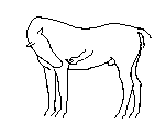 3.gif