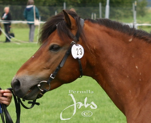 Zeenith 542, Elmia 2007