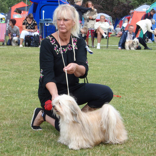 Isfolkets kennel