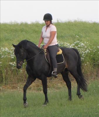 Porter riden 2009